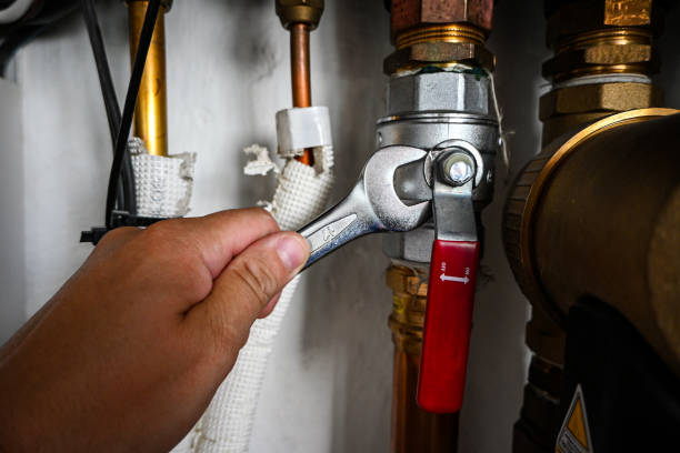 Best Plumbing Repair Near Me  in Chatfield, MN